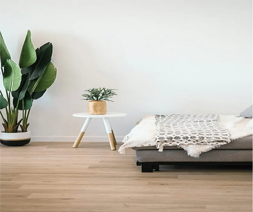 Chambre épurée : lit bas habillé d’un plaid, sol en bois clair, plantes en pot.